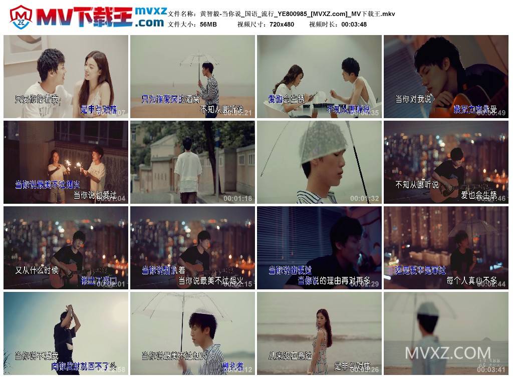 黄智毅-当你说_国语_流行_YE800985